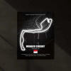 LED | 🏎️ Monaco circuit Neon LED Metal Poster – Glowing Temple of Speed Wall Art