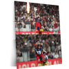 RCB virat Batting Celebration Metal Poster | IPL 2026 Cricket Champion Wall Art for Fans