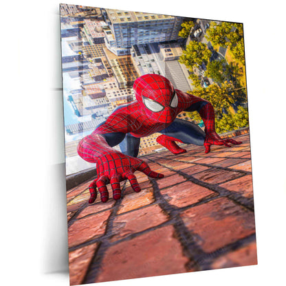 Spider-Man Metal Poster | - TURTLEWINGS