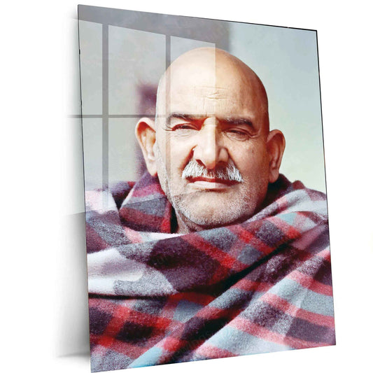 Neem Karoli Baba Metal Frame - A Divine Tribute 2 - TURTLEWINGS