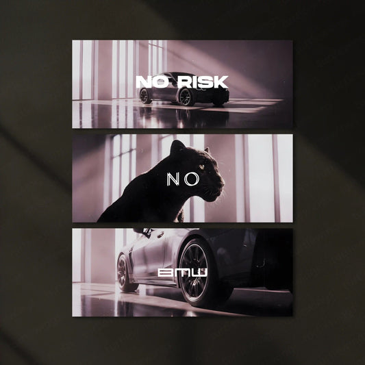 Motivational Metal Poster – Set of 3 | No Risk. No BMW. | Luxury Hustle Wall Art - TURTLEWINGS