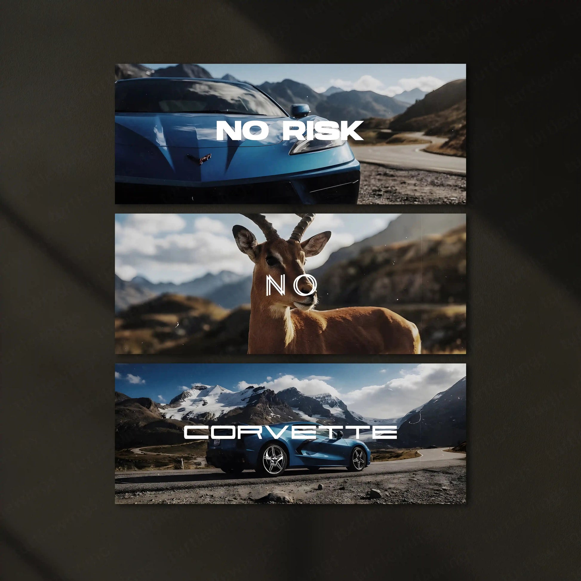 Motivational Metal Poster – Set of 3 | No Risk. No Corvette. | Luxury Hustle Wall Art - TURTLEWINGS