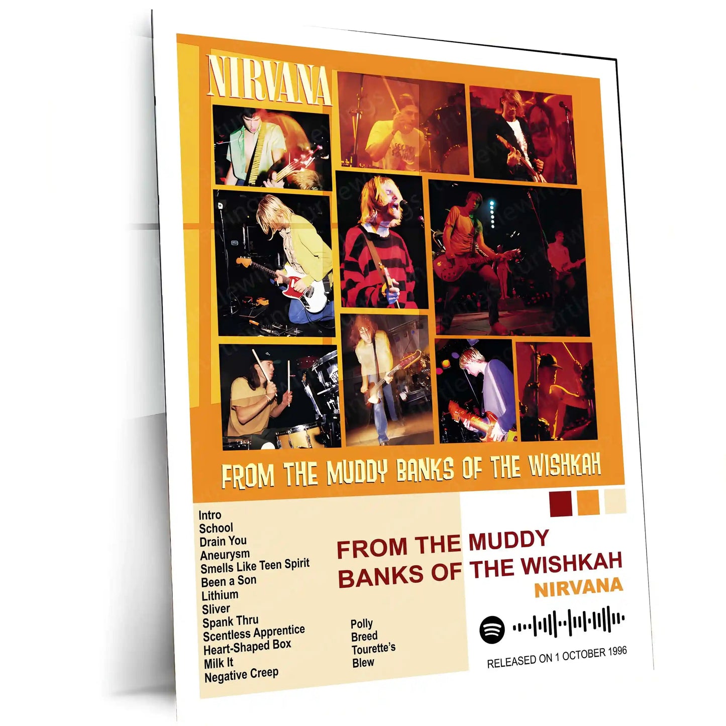 Nirvana Complete Collection | Set of 11 | Set of 4 | Set of 8| Album Posters Metal Frames Grunge Legacy. Iconic Albums. Timeless Wall Statement. - TURTLEWINGS