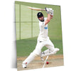 Cricket Metal Poster | Kane Williamson Metal Poster | New Zealand Cricket Legend Wall Art | Elegant Batsman Portrait Frame