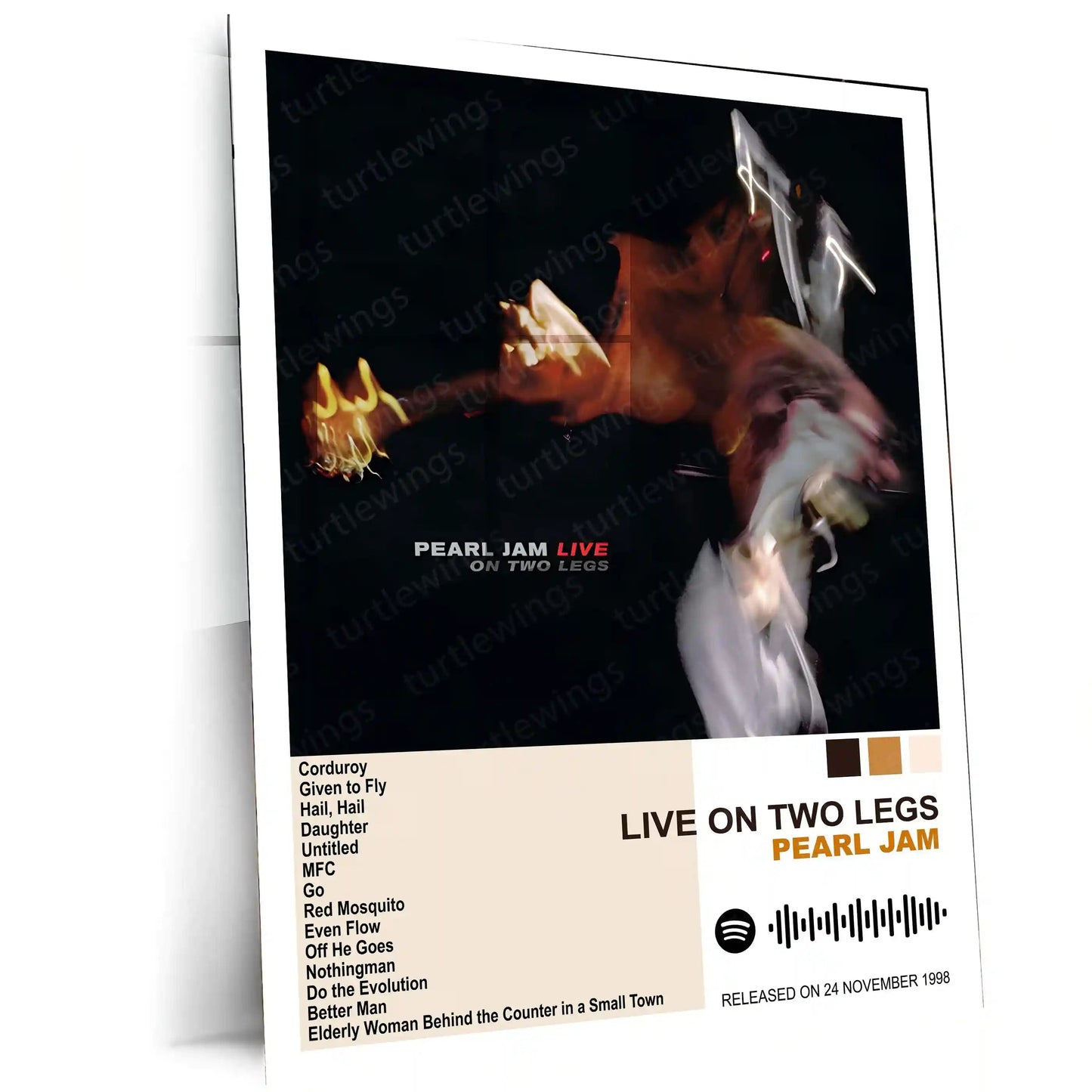 Pearl Jam Complete Collection | Set of 11 | Set of 8 | Set of 4 | Album Posters Metal Frames Grunge Legacy. Raw Emotion. Seattle Sound Forever. - TURTLEWINGS