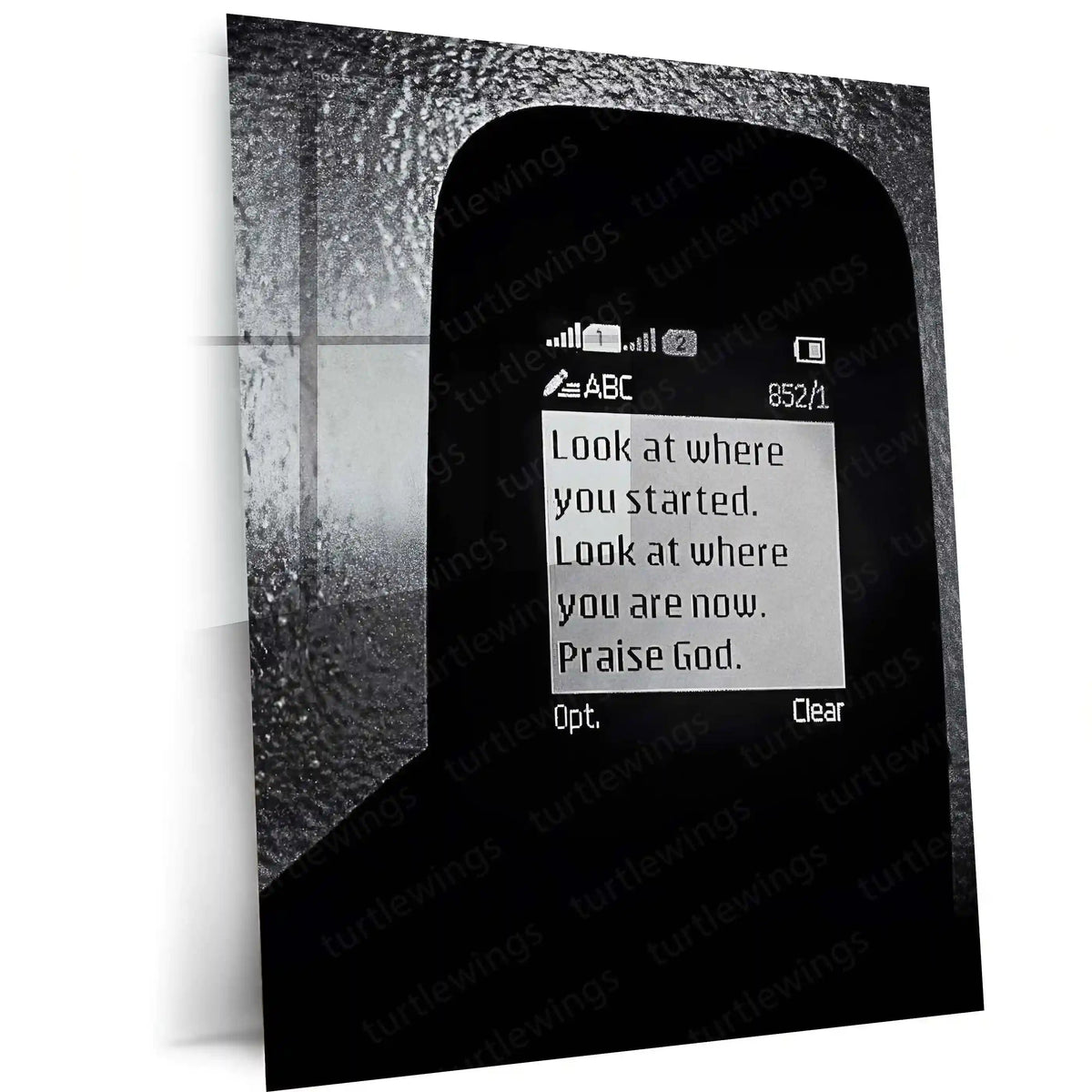 Quote Metal Poster | Look at Where You Started. Look at Where You Are Now. Praise God. | Gratitude, Growth & Faith Metal Frame - TURTLEWINGS 