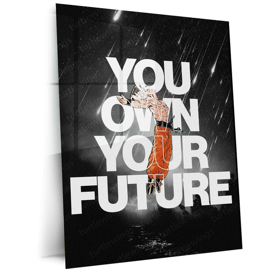 Anime Metal Poster | Goku Ultra Instinct You Own Your Future Anime Metal Poster | Dragon Ball Motivational Wall Art | Saiyan Metal Print
