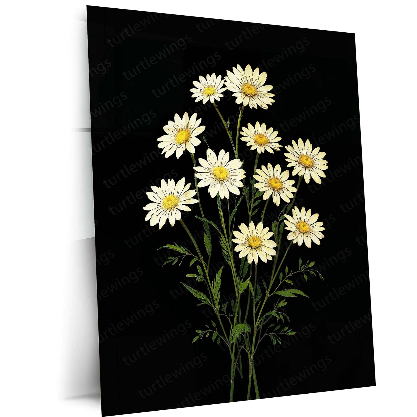 White Daisy Bouquet Metal Poster | Minimalist Floral Botanical Wall Art  Elegant Daisy Flower Illustration Metal Frame