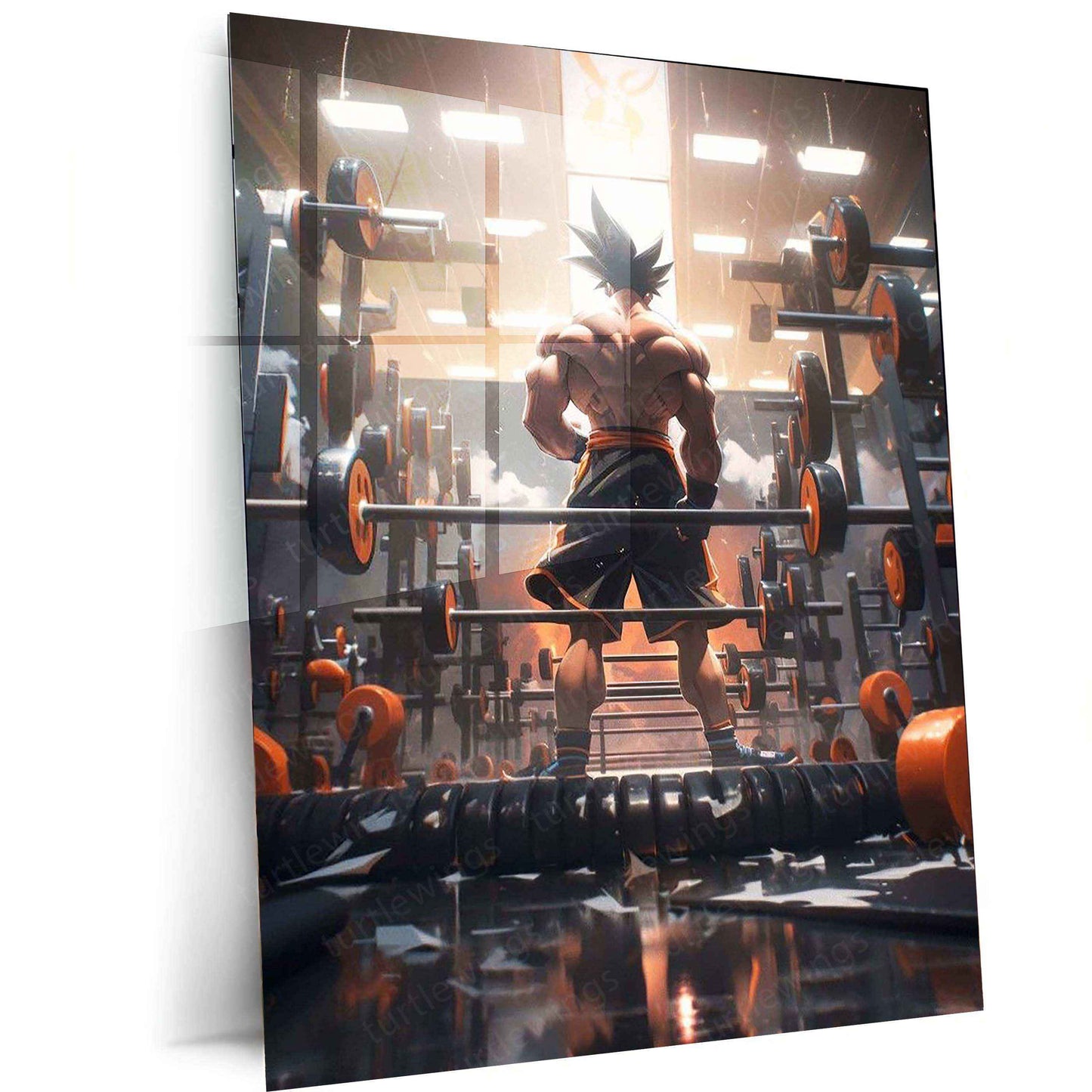 GOKU GYM DBZ 2 - TURTLEWINGS