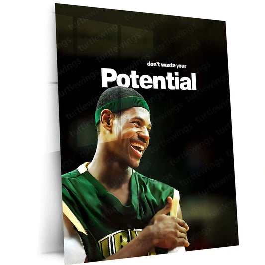 Quote Metal Poster | LeBron James – Don’t Waste Your Potential Metal Frame Greatness Responsibility & Championship Mindset Basketball Wall Art | Elite Standards Quote Metal Poster - TURTLEWINGS